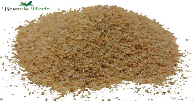 Garlic Granules Wholesale - Branzia Herbs