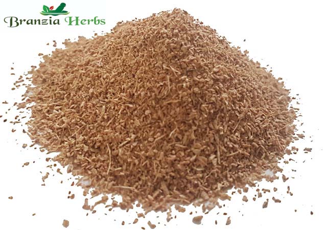 Ginger Granules Wholesale - Branzia Herbs