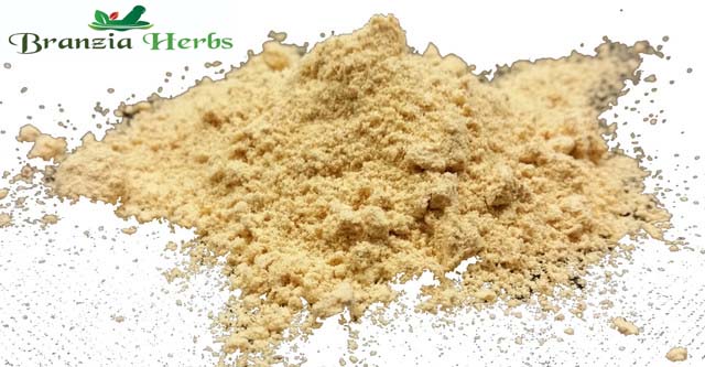 Ginger Ground Powder Wholesale - Branzia Herbs