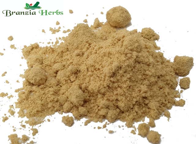 Ginger Powder Organic Wholesale - Branzia Herbs