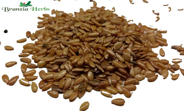 Golden Linseed Wholesale - Branzia Herbs