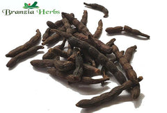 Grains of Selim Pepper Wholesale - Branzia Herbs