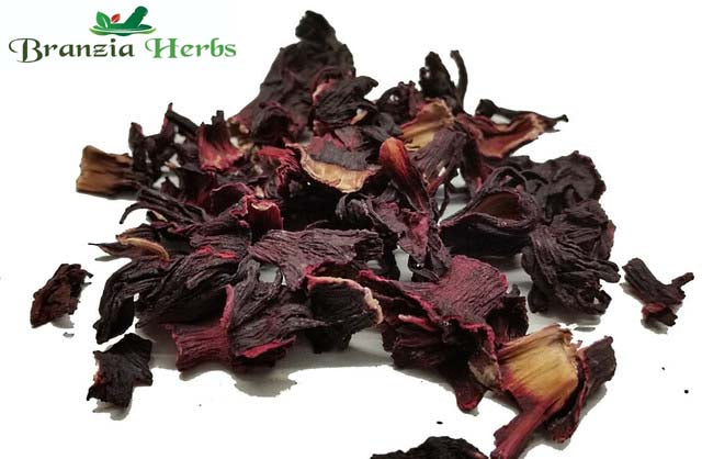 Hibiscus Flowers Wholesale - Branzia Herbs