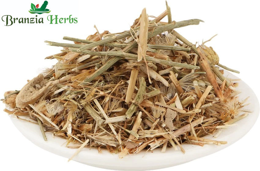 Brahm Dandi | Oont Katara | Tricholepis angustifolia - Branzia Herbs