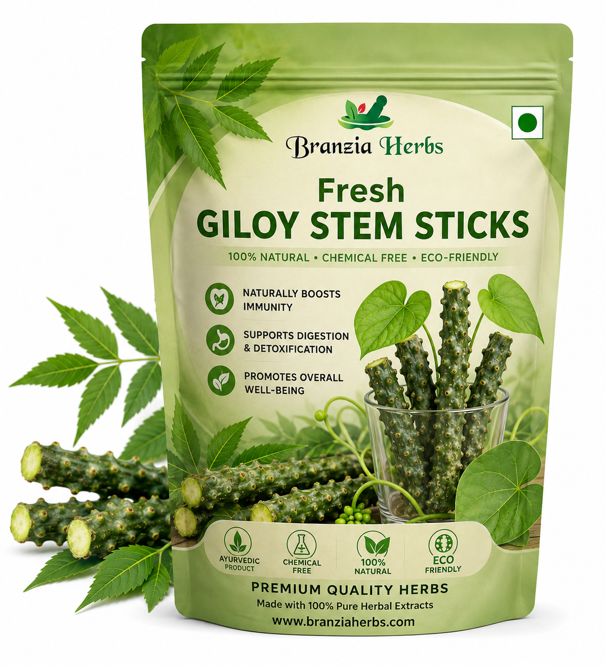 Fresh Giloy Stem Sticks with Natural Neem – 10 Pieces Organic Ayurvedic Herbal Remedy for Immune Support, Detox, Wellness & Daily Herbal Care