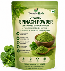 Dehydrated Spinach Powder | Pure, Finely Ground & Natural | Organic Palak Powder