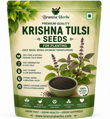Krishna Tulsi Seeds for Planting | Holy Basil Plant Seeds | Indian Tulsi Seeds for Home Gardening
