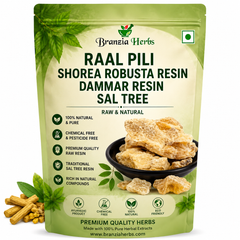 Raal Pili (Yellow Dammar Resin) | Shorea Robusta Resin | Sal Tree Gum | Natural Dhoop Resin for Puja, Havan & Incense