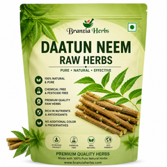 Neem Daatun Sticks | Raw Herbal Neem Datun | Natural Jadi Booti Neem Datoon | Approx. 6 Inch