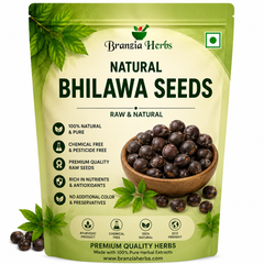 Pure Bhilawa Seeds | Bhilava Bilva Beej | Bhallatak Raw Herbal Jadi Booti Seeds