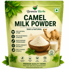 Camel Milk Powder | Natural Dairy Alternative for Cooking, Baking & Daily Use