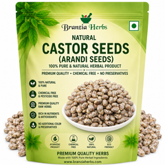 Castor Seeds - Arandi Seeds