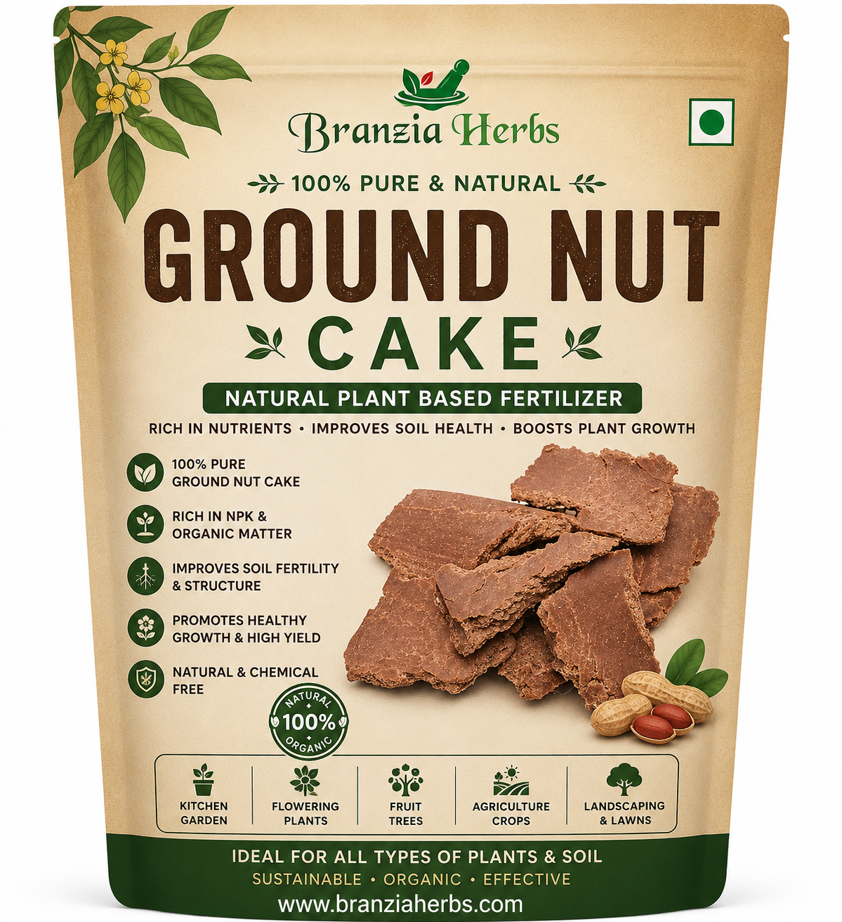 Ground Nut Cake (Kadalai Punnakku)