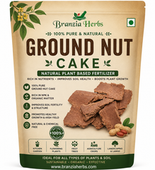 Ground Nut Cake (Kadalai Punnakku)