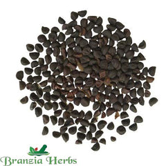 "Morning Glory Ipomoea Creeper Mix Color Flower Seeds " - Branzia Herbs