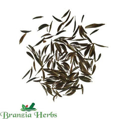 "Cosmos Mixed Color Flower Seeds " - Branzia Herbs