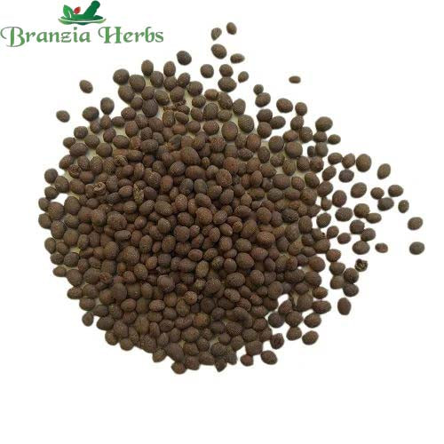 "Balsam Mixed Color Flower Seeds " - Branzia Herbs