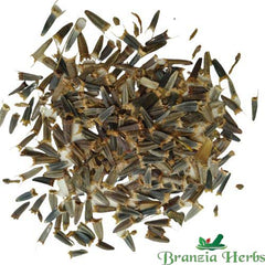 "Tithonia Orange Flower Seeds " - Branzia Herbs