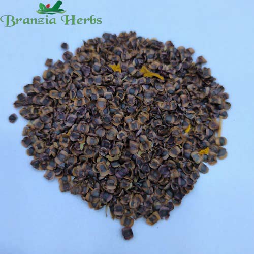 "Coreopsis Flower Seeds "