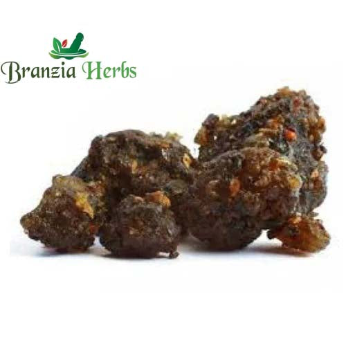 Guggul Gum (Premium) - Gugul Gond - Commiphora wightii - Branzia Herbs