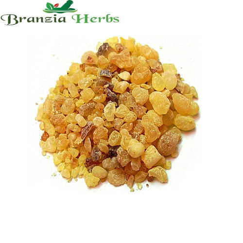 Katira Gum - Tragacanth - Almond Gond - Astragalus Gummifer