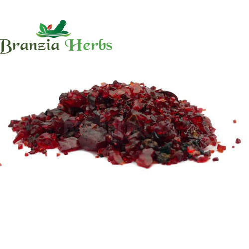 Kamarkas gum - Palash Gond- Chunia Gond - Butea Monosperma - Branzia Herbs