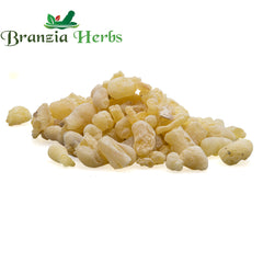 Indian Frankincense - Boswellia serrata - Kundru (Premium) - Luban - Shallaki Gum - Branzia Herbs