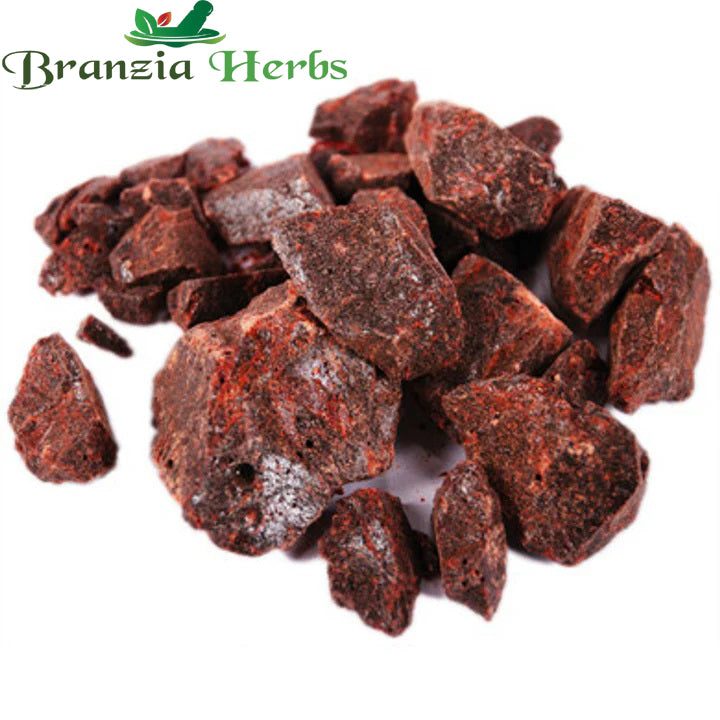 Dragon blood Resin - Khoon Kharaba - Hiradhoki - Daemonorops draco - Branzia Herbs