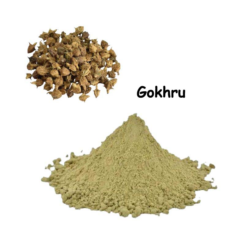 Organic Ashwagandha, Shatavari, Gokhru, Lodhra, Bala, Kapikachhu, Amalaki Powder 350 Gm Combo Pack 50 Gm Each Herb powder - Branzia Herbs