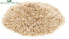 "Isabgol - Psyllium Husk - Plantago ovata - Bhushi " - Branzia Herbs