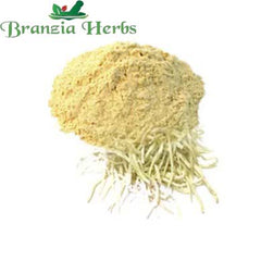 "Safed Musli Powder - Chlorophytum borivilianum " - Branzia Herbs