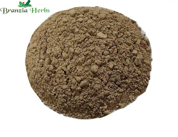 Baval Beej Powder – Bavad Padiya Powder – Babul Beej – Vachellia nilotica