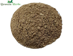 Baval Beej Powder – Bavad Padiya Powder – Babul Beej – Vachellia nilotica - Branzia Herbs