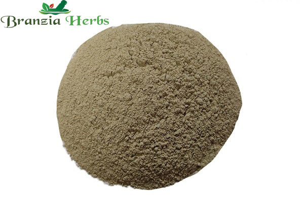 Bharang Mool Powder - Branzia Herbs