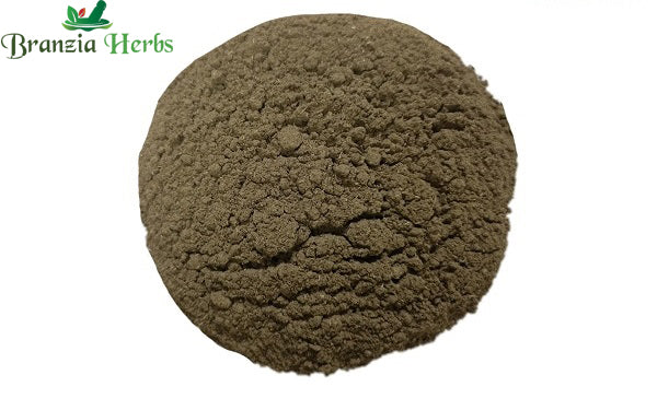 Bhoi Amli Powder – Bhumi amalaki – Bhumi Amla – Keelanelli – Chanca Piedra- Phyllanthus niruri - Branzia Herbs