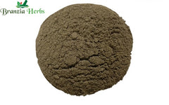 Bhoi Amli Powder – Bhumi amalaki – Bhumi Amla – Keelanelli – Chanca Piedra- Phyllanthus niruri - Branzia Herbs