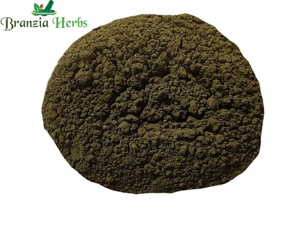 Chanothi Leaves (Pan) Powder – Gunja Leaves Powder - Branzia Herbs