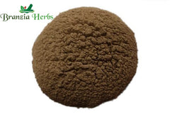Chitrak Powder – Plumbago zeylanica - Branzia Herbs