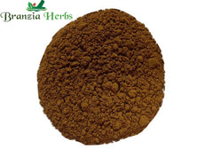 Dalchini Powder – Taj Powder – Cinnamon Bark – Cinnamomum zeylanicum - Branzia Herbs