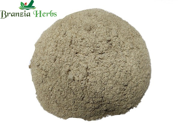 Danti Powder – Dantimula Powder – Baliospermum solanifolium - Branzia Herbs