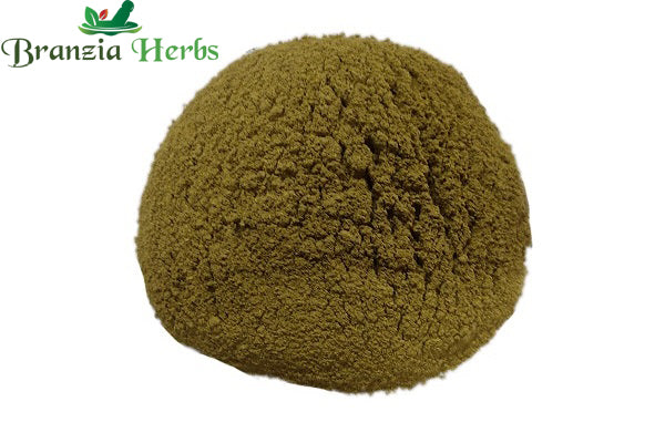Daruharidra/Daruhaldi Powder – Indian Barberry - Branzia Herbs