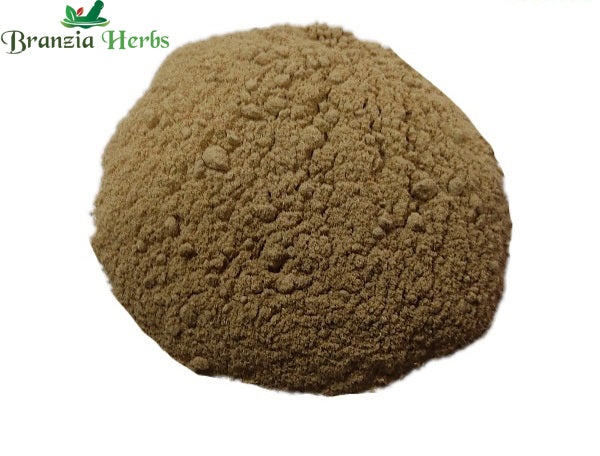 Devdaru/Devdar Powder – Cedrus deodara - Branzia Herbs