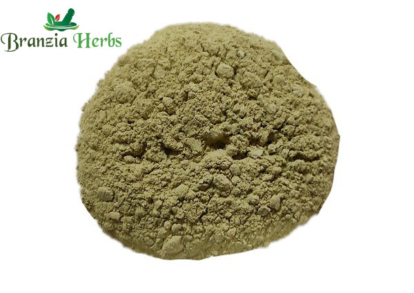 Dhamasa Powder – Fagonia cretica - Branzia Herbs