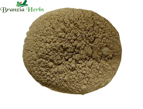 Garlic Powder – Lasun Powder – Lasan Powder - Branzia Herbs