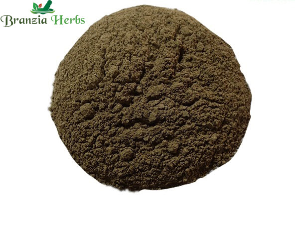 Giloy Powder – Guduchi – Galo – Tinospora cordifolia - Branzia Herbs