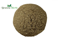 Hadjod Powder – Cissus quadrangularis - Branzia Herbs