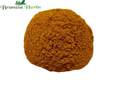 Haldi Powder – Hadadar Powder – Turmeric – Curcuma Longa - Branzia Herbs
