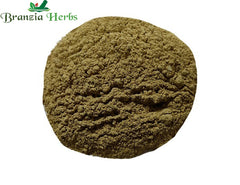 Haritaki/Harde Powder – Terminalia chebula - Branzia Herbs