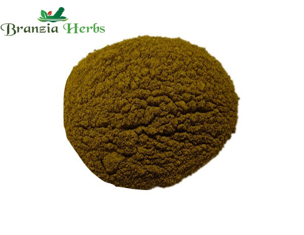 Hingwastak Churna - Branzia Herbs