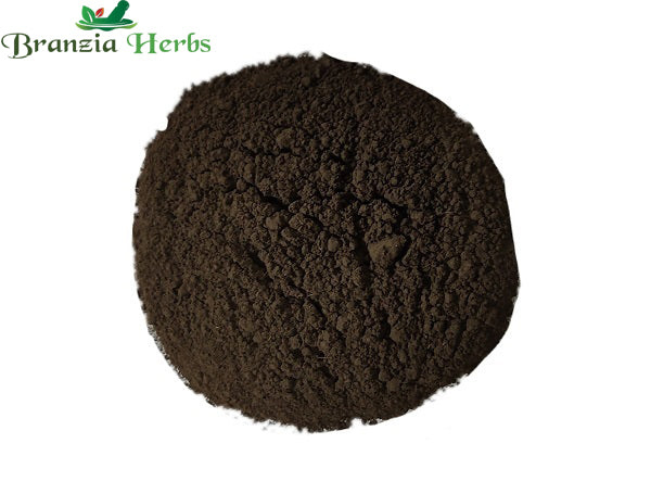 Jatamansi Powder – Nardostachys jatamansi - Branzia Herbs